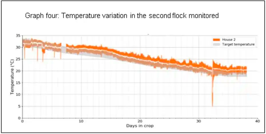 Graph four - Temperature variation in the second flock monitored