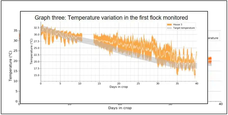 Graph three - Temperature variation in the first flock monitored